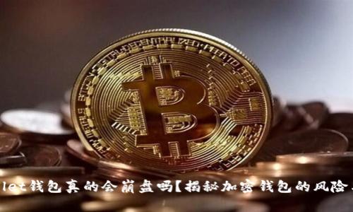 tpWallet钱包真的会崩盘吗？揭秘加密钱包的风险与未来