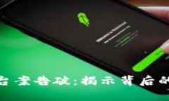 数字货币诈骗平台案告破：揭示背后的真相与防