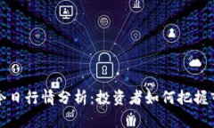 狗狗币今日行情分析：投资者如何把握市场动态