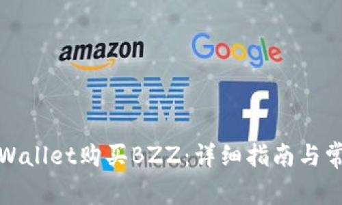 如何通过tpWallet购买BZZ：详细指南与常见问题解答