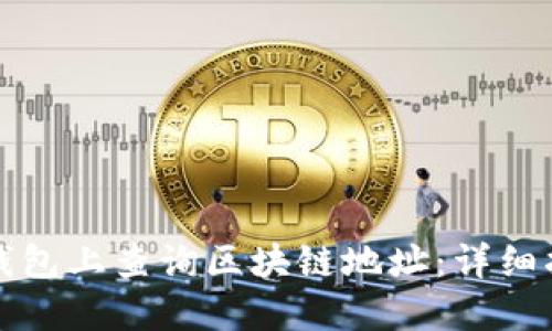 如何在TP钱包上查询区块链地址:详细指南与技巧