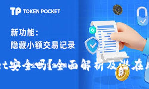 tpWallet安全吗？全面解析及潜在风险分析