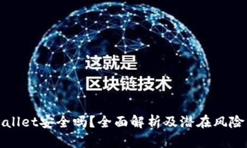 tpWallet安全吗？全面解析及潜在风险分析
