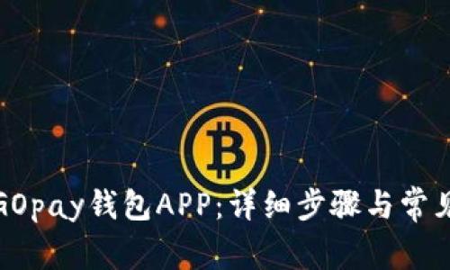 如何安装GOpay钱包APP：详细步骤与常见问题解答