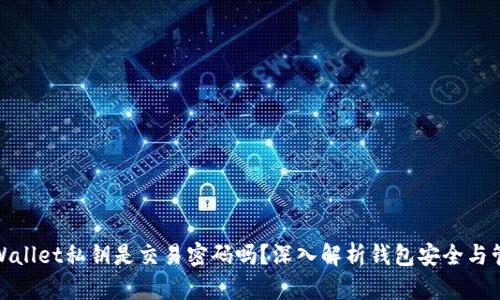 tpWallet私钥是交易密码吗？深入解析钱包安全与管理