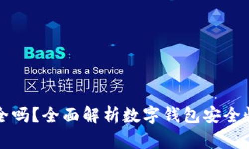 tpWallet安全吗？全面解析数字钱包安全性及注意事项