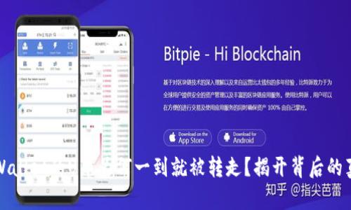 tpWallet的U币为何一到就被转走？揭开背后的真相