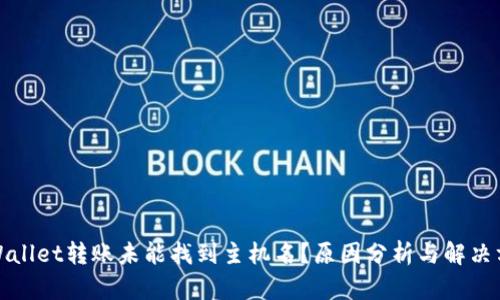tpWallet转账未能找到主机名?原因分析与解决方案