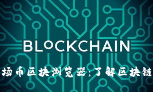 深入探索波场币区块浏览器：了解区块链背后的价值